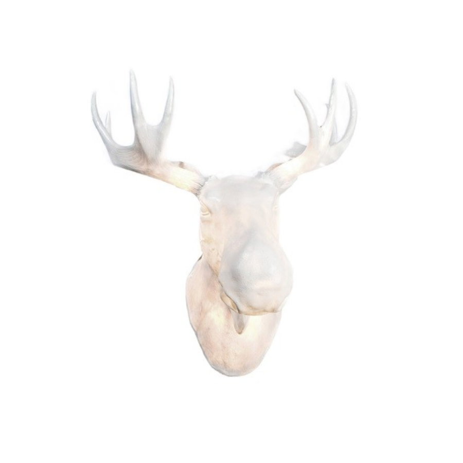 Northern, Moo Lamp